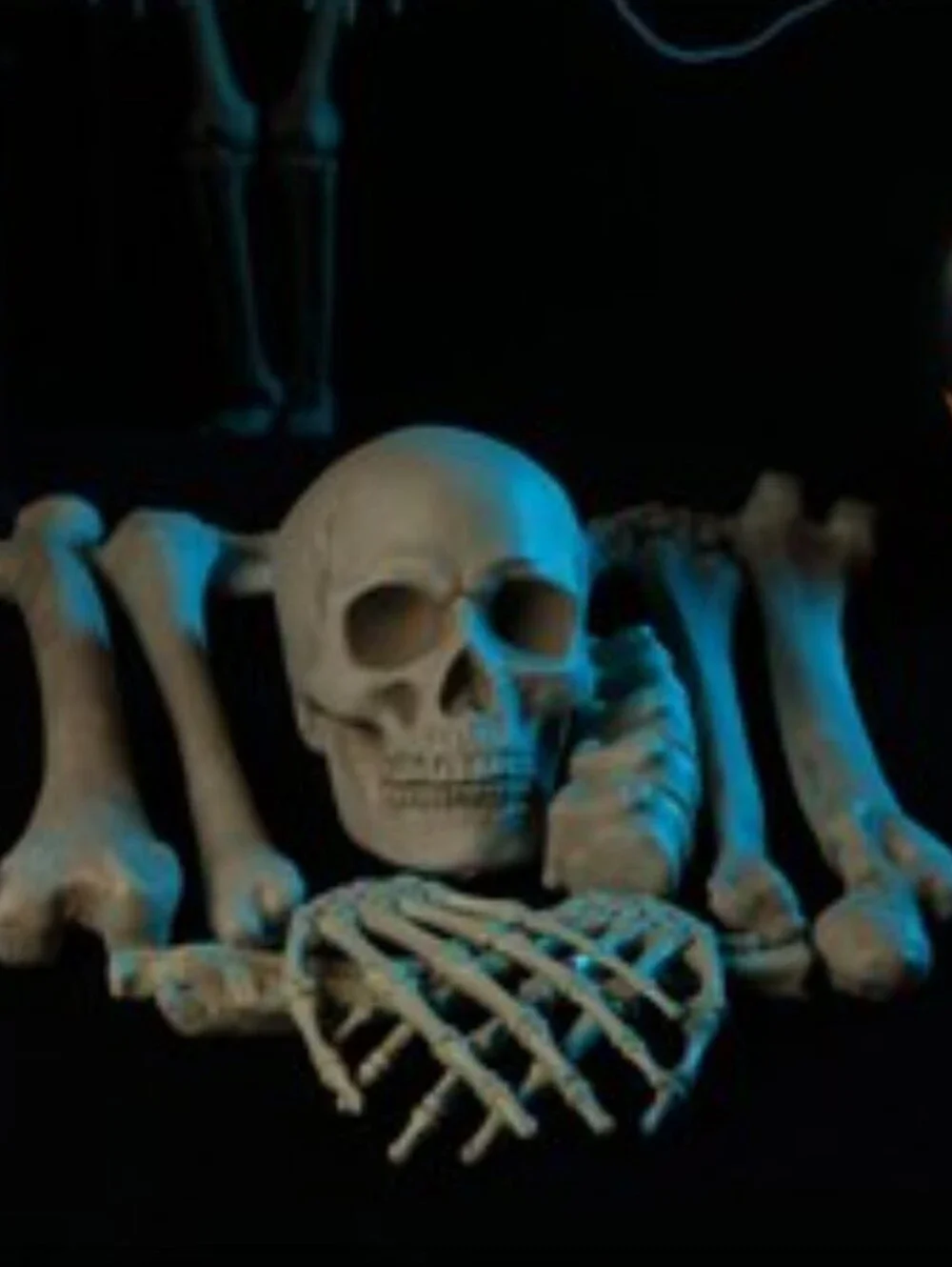 2 Sets Of Decorative Bones - Halloween Decoration